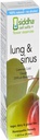 Siddha Remedies Lung & Sinus Spray for Sinus Relief, Congestion Relief, Cough Suppressant, Kald medisin, Runny Nese | Homeopatisk Allergi Medisin Relief ® Ikke GMO w/Cell Salts, Ingen alkohol, Sukker
