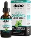 Klorophylle flytende dropper kroppen detox - Vegan flytende klorophyll drops Odor rengjøringstilskudd, energi og immunsupport, intern deodorant, kroppen deodorizing kosttilskudd - naturlig deodorant vann 2 oz