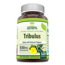 Herbal Hemmeligheter Tribulus 630 Mg 120 Veggie Kapsler Supplement | Ikke-GMO | Glutenfri | laget i USA