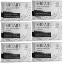 30 000 MG Shilajit tabletter, 100% Shilajit ren, Himalayan organisk, Shilajit for menn og kvinner rik på fulvsyre & 85+ Spor Mineraler, Shilajit kosttilskudd for energi og immunsystem, 360 telling