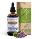 Hemmeligheter av Tribe Bugleweed Tinkture alkoholfri flytende ekstrakt, USDA organisk Bugleweed (Lycopus Virginicus) tørket urt (4 FL OZ)