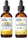 Wild & organisk Echinacea Goldenseal Tinktur 2 fl oz & Mullein Tinktur 2 fl oz