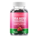 Sea Moss 4000mg Gummies med Ashwagandha, Elderberry, Apple Cider Vinegar, Bladderwrack, Burdock Root – Immunstøtte – Blandet Berry Flavor – 60 Count