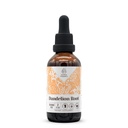 Dandelion Root alkohol-fri naturlig tinktur ekstrakt, immunsystem Booster, flytende dråper laget av 100% Dandelion (Taraxacum officinale) Tørket rot (2 fl oz)