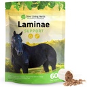 Silver Lining urter Laminae støtte hest kosttilskudd Laminitt & grunnlegger støtte for hest - støtte mobilitet, Sore føtter, myk fot tupe & bedre Coat - Herbal Hoof kosttilskudd for hester - 1 LB