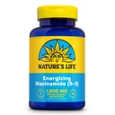Naturens livsenergiserende niacinamid, vitamin B3 1000mg - høy styrke, ingen flush niacin Supplement - Nervefunksjon, energi og metabolisme støtte - 60-dagers garanti - 100 serveringer, 100 tabletter