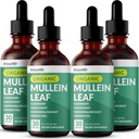 5-i-1 Mullein Drops for Lungs og Bronchial - Respiratorisk Lung Helse Støtte med Mullen Leaf Extract for Lungs - Mullein Tinktur med Elderberry, Echinacea og Ginger Root (120 Serveringer) (4-pack)