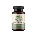 TERRA ORIGINA Sunn Mind and Memory Support Supplement | Kognitiv Minne Matrix Nootropic CDP, Bacopa, L-tyrosin, Huperzine A, Ginko, B12 | Ikke GMO, Glutenfri, Dairy Free | 30 Kapsler