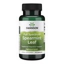 Swanson Spearmint Leaf (Mentha Spicata) - Full Spectrum Herbal Supplement Støtter Digestive helse & Mild Mageproblemer - Naturlig Formula Støtter Helse & Velvære - (60 kapsler, 400 mg Hver)