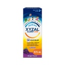 Xyzal Barns 24-timers allergi relief medisin for barn, levocetirizin dihydroklorid flytende antihistamin, Grape, 10 fl oz.