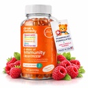 En dose av barn immunisme støtte gummier - daglig immunforsterkning kosttilskudd Quercetin gummier for barn med vitamin B kompleks, vitamin C, sink, vitamin D, Quercetin Bromelain, Echinacea - 60 greve