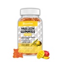 Mullein Gummies, 2000mg organisk mullein Leaf ekstrakt med Quercetin, Bromelain & Vitamin D3, Mullein Leaf ekstrakt for pustende, Naturlig Lunge renser, Forbedre Appetitt, Vegan, Ikke-GMO, 1 pakke