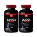 Arabinogalactan, tarmflora supplement, aloe vera blad pulver organisk - CANDIDA AWAY COMPLEX - oregano olje kapsler, ormeved supplement kapsler, immun booster, candida støtte - 2 flaske 120 Caps
