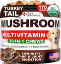 Mushroom for hunder - 170 Chews - Tyrkia Tail - Mushroom Supplement for hunder - Lions Mane - Reishi - Immunitetsstøtte Multivitamin vitaminer - Felles helse - Energi - Gut - Hud - laget i USA