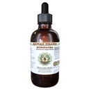 Echinacea alkohol-fri flytende ekstrakt, Echinacea (Echinacea Angustifolia) tørket rot glyseritt Hawaii Pharm Naturlig Herbal Supplement 2 oz