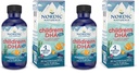 Nordic Naturals Children's DHA Xtra, Berry Punch - 2 oz for barn - 880 mg Total Omega-3s med EPA & DHA - Kognitiv og immunfunksjon, læring, sosial utvikling - Non-GMO - 48 Services (Pack of 2)