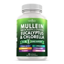 Mullein Leaf Extract for Lungs Cleanse NAC Supplement Klorofyll Klorella Elderberry Ginger Licorice Astragalus Oregano Turmeric Support 90 Count