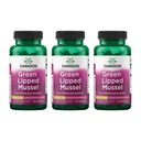 Swanson Green Lipped Mussel (Freze-Dried) - Norge felles helse og mobilitet Supplement - Naturlig formel kan støtte hjerte helse og digestiv funksjon - (60 kapsler, 500 mg hver) (3 pakke)
