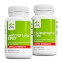 Terry Naturally Andrographis EP80 Extra Styrke - Hjernens helse og immunstøtte - Felles helsestøtte til hjelpemobilitet - Adaptogen Supplement for energi og lever støtte - 60 Kapsler (pakke med 2)