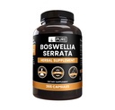 Rene originale ingredienser Boswellia Serrata (365 kapsler) Ingen magnesium eller risfyllere, alltid ren, Lab verifisert
