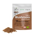 Mushroom Extract Powder - Kraftig 10 blanding, organiske løver Mane, Cordyceps, Reishi, Shiitake, Tyrkia Tail Mushrooms Nootropic Brain Supplement for energi, rolig, fokus og immunsystem Booster