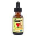 CHILDLIFE ESSENTIALS Echinacea for barn - Kids Echinacea Drops, flytende tinktur, alkoholfri kosttilskudd for babyer, tilhengere, barn - naturlig oransje, 1 fl Oz (pakke av 1)
