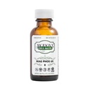 Jacksons #8 Cell Salt Mag Phos 6X (500 Pellet Flaske) - Certifisert Vegansk, Laktosefri Schuessler Vessue Salt Magnesia Fosforica 6X