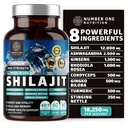 Ren Himalayan Shilajit for kvinner og menn [50% Fulvic Acid] Bedre enn Resin med Ashwagandha, Ginseng, Turmeric, Gingko Biloba, Sting Nettle, Cordyceps til å støtte energi og immunitet, 60Caps