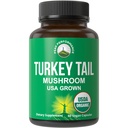 Peak Performance Organic Turkey Tail Capsules - USA Grown laget med ekte Tyrkia Tail Mushroom. Immunsystem støtte naturlig høstet mushroom kosttilskudd for immunisme. Vegan Supplement Ekstrakt