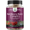 Høy styrke Hawthorn Berry Capsules - ren antioksidant Hawthorn Berry Supplement med blad & blomst ekstrakt 4:1 for sunn hjerte og digestion - energi støtte for menn og kvinner - 240 Count Pack