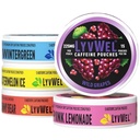 LyvWel 225mg Koffein Energi Pouches Nootropic Focus & Neuro Support | Tobaksfri, nikotinfri, hurtig energiløsning | 5-pakke: 60 Pouches (5 pakke, multi-Pack)
