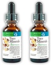 Morter Trace Minerals i Colloidal Suspensjon (2 Pack) Morter HealthSystem Beste prosess Alkaline — Næringsstoffer Sense Trace Elements, Fulvic Minerals & Aminosyrer