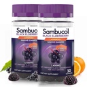 Sambucol Black Elderberry Gummies med vitamin C & sink - Sambucus Elderberry Gummies for immun støtte, høy antioksidanter, glutenfri, vegansk, eldrebær med sink & vitamin C - 30 greve, 2 pakke