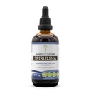 Hemmeligheter av Tribe Spirulina alkoholfri flytende ekstrakt, Spirulina (Artrospira Platensis) Tinkture Supplement (4 FL OZ)