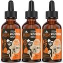 Liposomal Mushroom Complex Drops 2000 MG - 20 Organic Mushroom Extracts - Avansert flytende formel for immunisme, kognitiv og minne - Lions Mane Supplement, Reishi, Cordyceps, Chaga, 90 Services