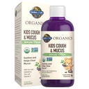 Garden of Life Organics Elderberry & Zink for barnes immunstøtte, Kids Cough & Mucus Immune Syrup med Ivy Leaf, vitamin C og Echinacea for barn, alkoholfri, Ingen tilsatt sukker, 3,92 fl oz
