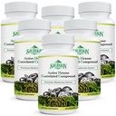Aktiv Heksose Correlatert forbindelse 1500 mg Supplement, Naturlig 8 Mushroom Extract Supplement, Immunsystem, Leverfunksjon, Naturlig Killer og T-celler Aktivitet, 540 Veggie Kapsler