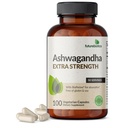 Futurebiotika Ashwagandha Extra styrke Stress & Mood Support med BioPerine - Ikke GMO Formula, 100 vegetariske kapsler