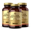 Solgar Kalsium Magnesium Plus Sink, 100 tabletter (pakke på 3) - fremmer sunne bein og tenner - støtter Nerve & Muskelfunksjon - Ikke-GMO, Vegan, Glutenfri, Dairy Free, Kosher - 100 Total Services