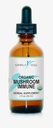 Organisk Mushroom immunforsvarsstøtte ® Overordnet immunitetssystem Supplement 2fl oz/59ml Dråper med maksimal absorpsjon og biotilgjengelighet | Vegan, Herbal 525mg per servering ● 2 måneders forsyning
