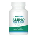 Rootcology ved Dr. Izabella Wentz | Amino støtte | Aminosyre komplekse kapsler med L-Glutamine, Glycine og MSM 90 kapsler