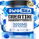 Kreatin Monohydrat Gummier for menn og kvinner 5000mg Kreatin Monohydrat per servering for muskel støtte energi øke 120 greve Chewable 5g Kreatin Supplement Sukker Gratis Vegan (1 pakke, blå bringebær)