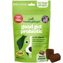 Probiotiske Chews for hunder Gut Helse og probiotika for hunder Digestiv Helse med Pumpkin Dog Probiotika og Digestive Enzymes ® NASC Certifisert og laget i USA ® 60 Chews
