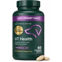 VitriScience Quick Action UT Helse Chewable Tabletter, UT Styrke STAT Supplement for hunder, Cranberry, Uva Ursi, og Chanca Piedra til Soothe Urin Tract Discomfort, Røyk, 90 greve