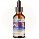 Morlove Goats Rue (2 Ounce Tinktur) Lactation Supplement for brystvev utvikling og brystmelk Supply Optimization - USDA Certified Organic, Vegan, Kosher, Soya-Free