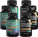 Boysea. Shilajit og sjø Moss Bundle- 90 greve - Hav Moss, Svart Seed Olje, Ashwagandha, Ginger & Shilajit, Rhodiola Rosea, Alle i 1 kosttilskudd (3 stk)
