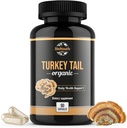 Økologisk Tyrkia Tail Mushroom Capsules Fruiting Kropp Ekstrakt ® GMO & Allergen-fri, Coriolus Versicolor Daglige urter, 90 Kapsler
