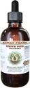 Hvit Pine alkohol-fri flytende ekstrakt, hvit Pine (Pinus Strobus) tørket Bark Glyceritt Naturlig Herbal Supplement, Hawaii Pharm, USA 4 floz