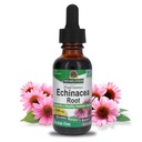 Naturens svar Echinacea alkohol gratis ekstrakt 1 Fluid Ounce | fremmer total velvære | Naturlig immunforsvar Booster | Inflammatory Reduser