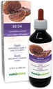 Naturalma Reishi (Ganoderma lucidum) Fungus eller Mushroom alkoholfri tinktur - 6,76 fl oz flytende ekstrakt i dråper - Herbal Supplement - Vegan